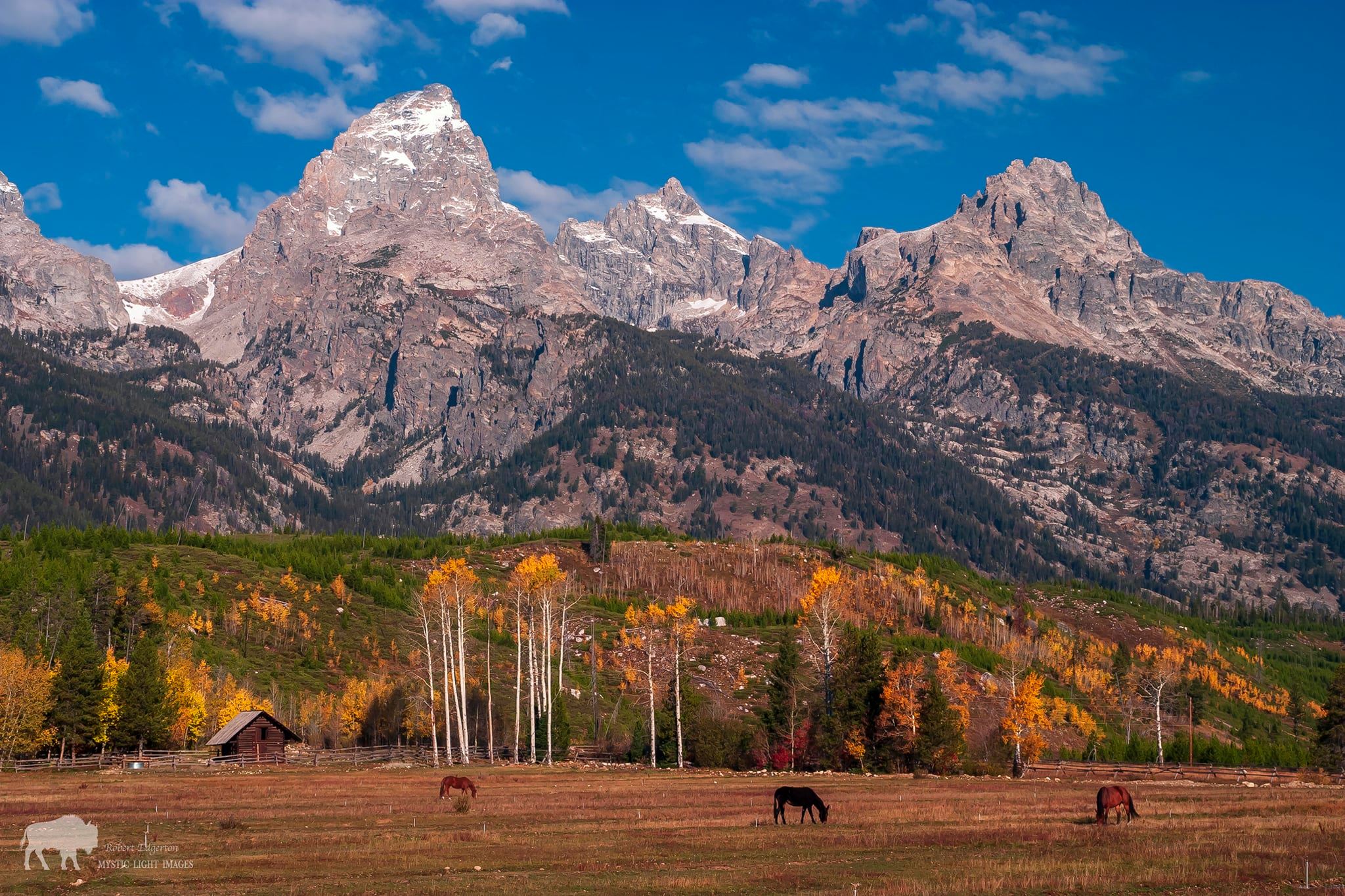 Lechage teton