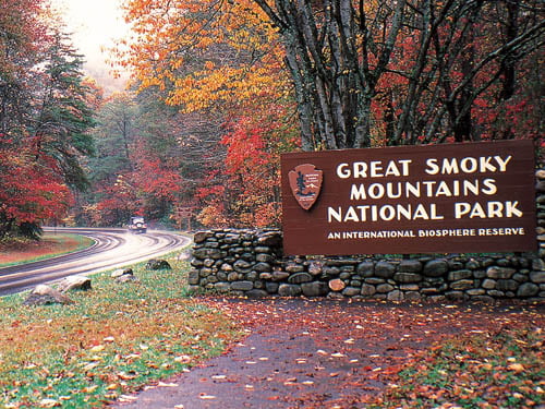 Great smoky mountains national hotsell park trails