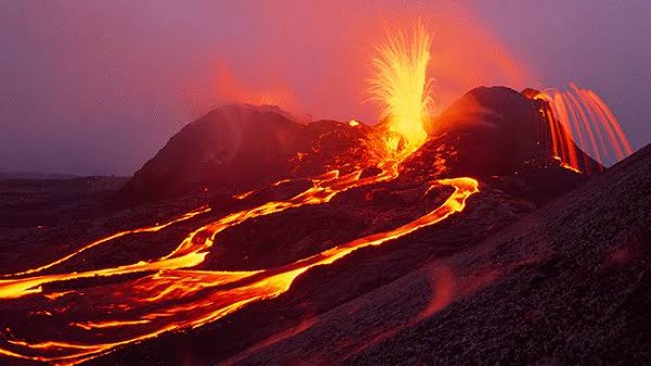 are dogs allowed in volcano national park