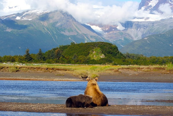 Welcome to Katmai National Park