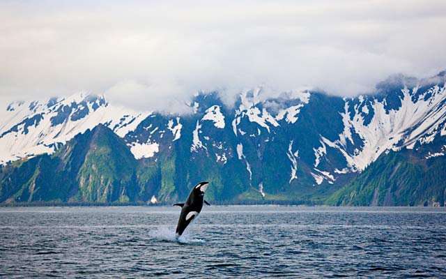 Welcome to Kenai Fjords National Park