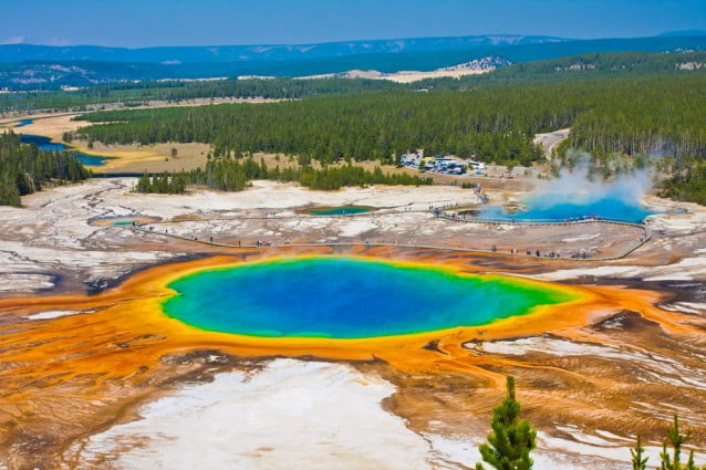 are dogs allowed at yellowstone national park