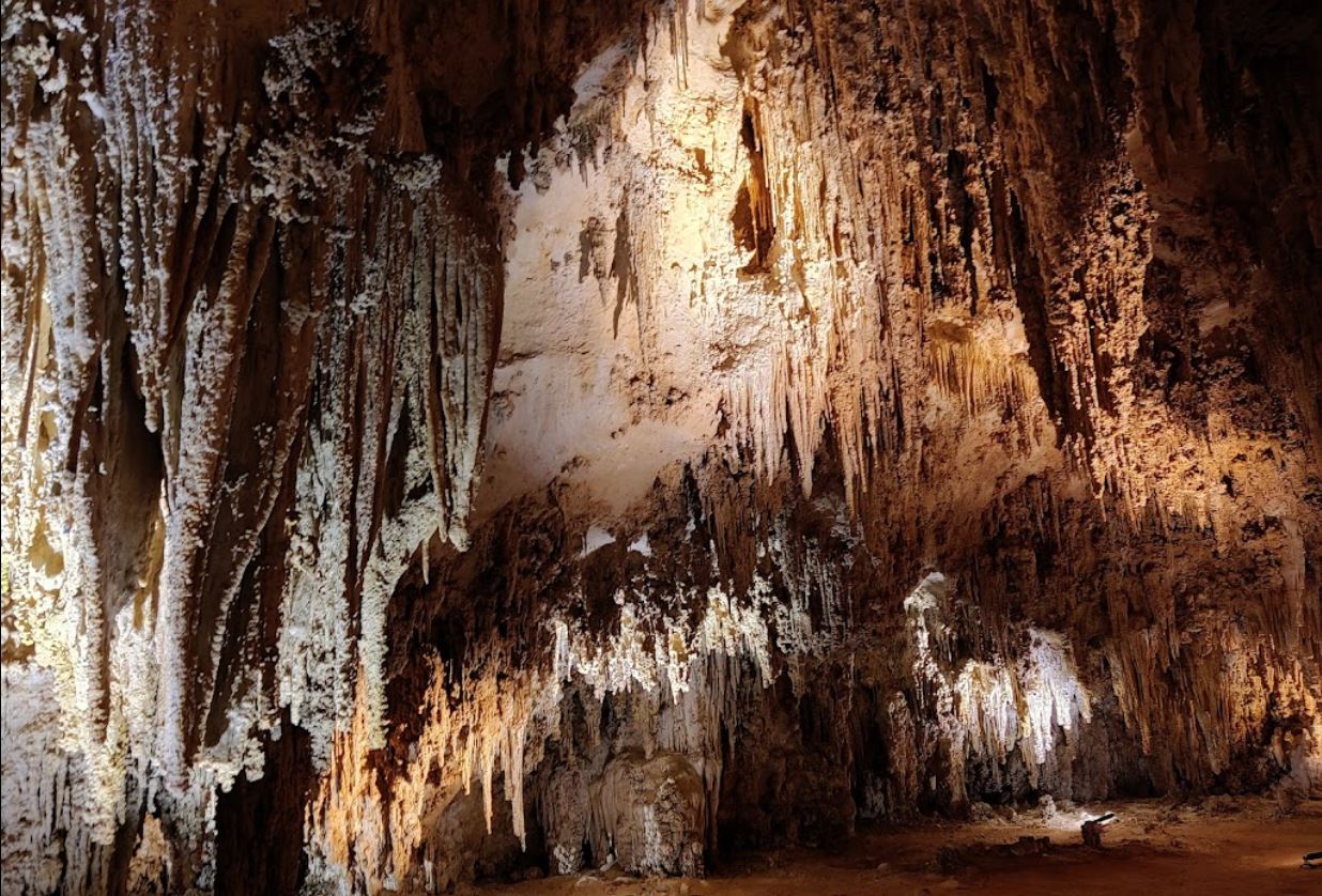 Carlsbad Caverns National Park Tickets Price