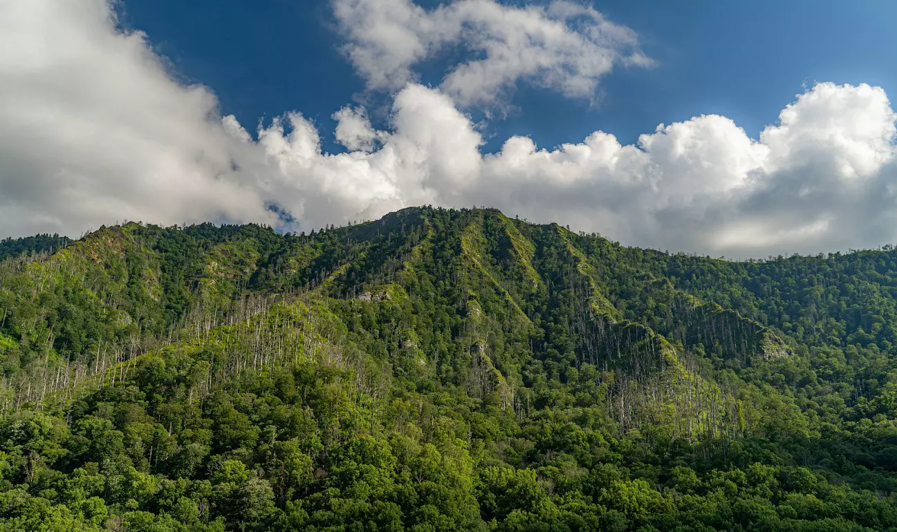 10 Best National Parks to Visit in November